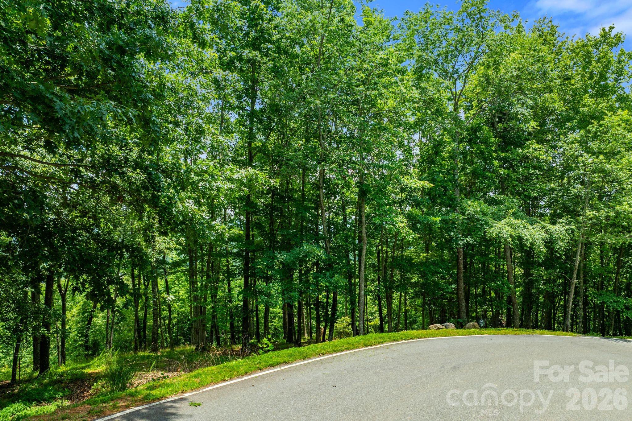 120 Split Rock Trail Property Photo 8
