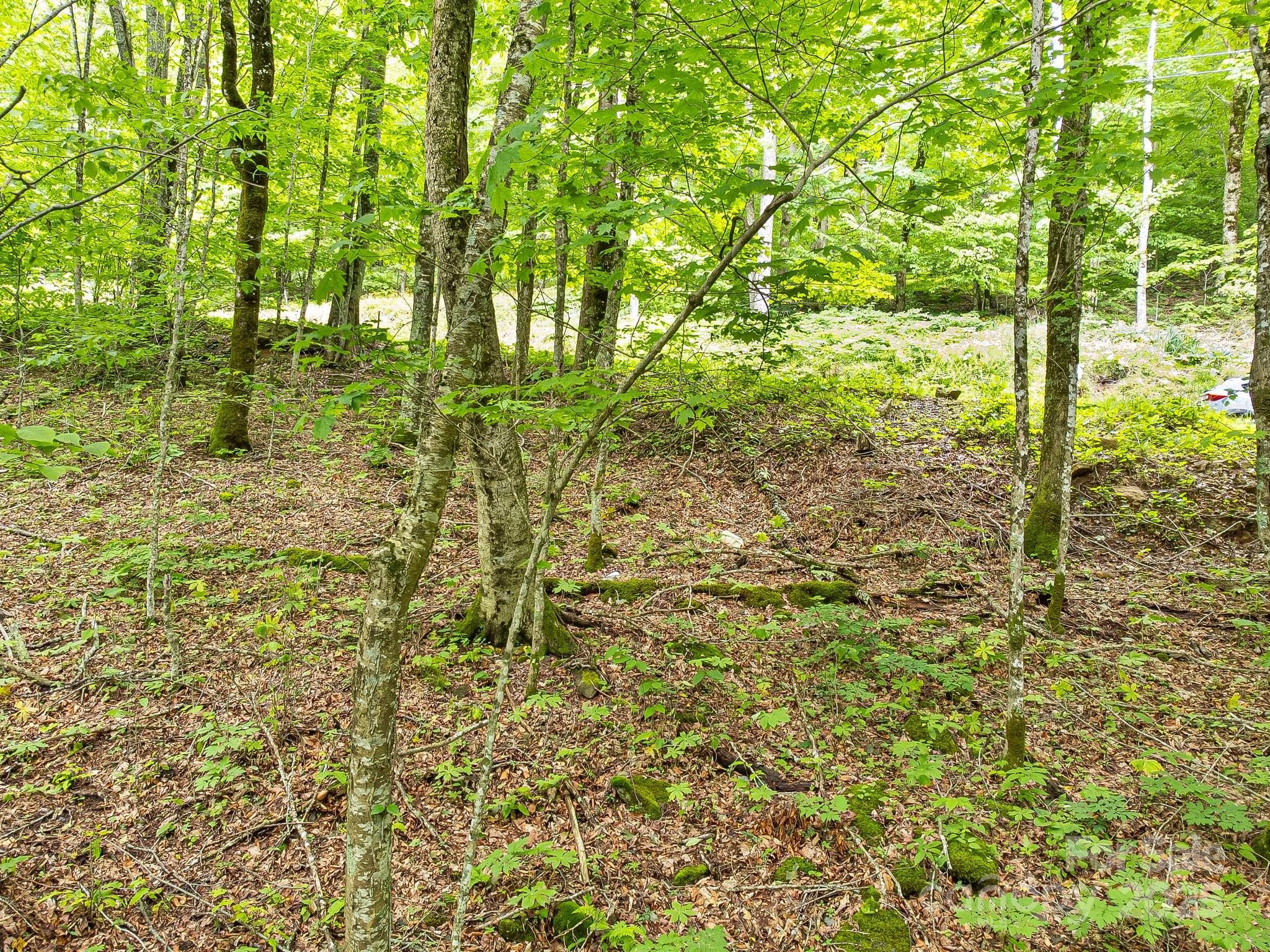 65 Bee Tree Lane Property Photo 2
