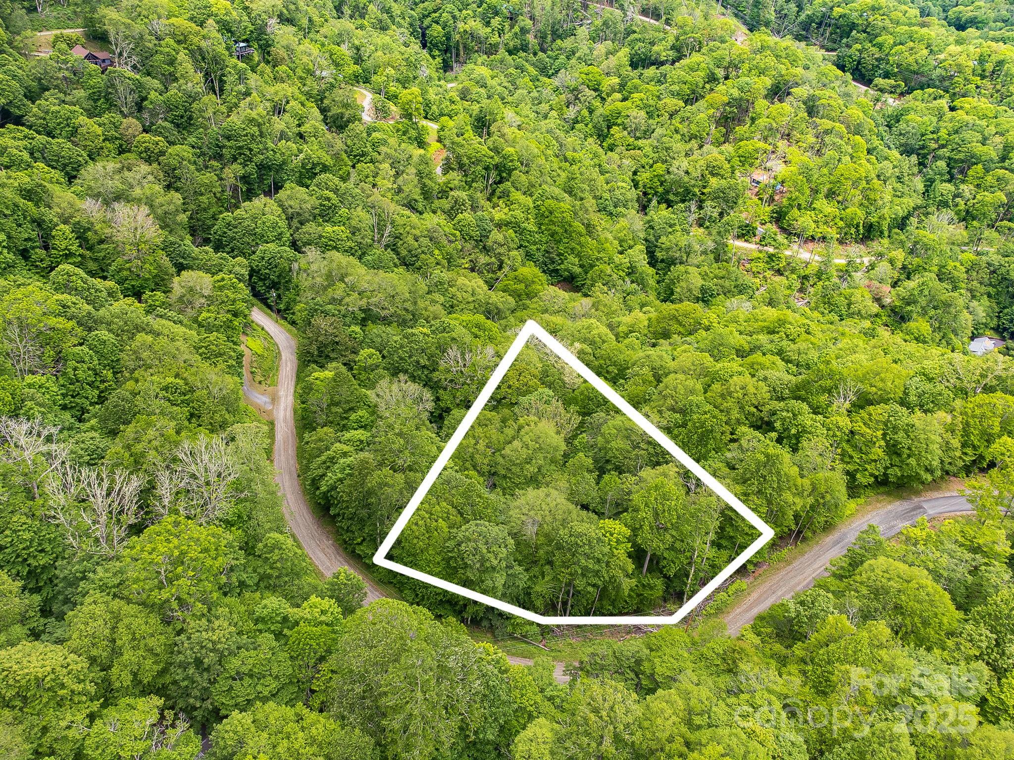 65 Bee Tree Lane Property Photo 5