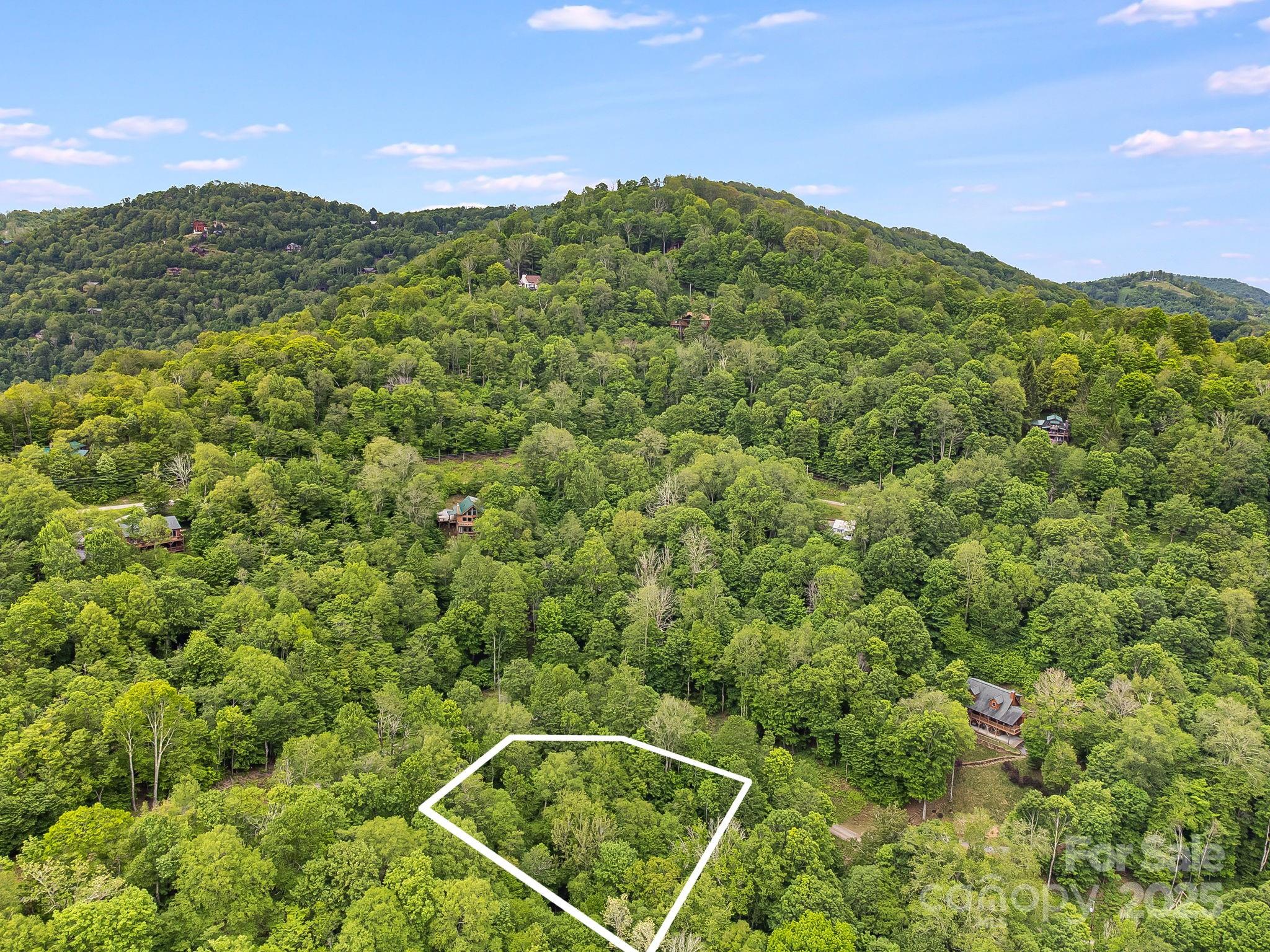 65 Bee Tree Lane Property Photo 11