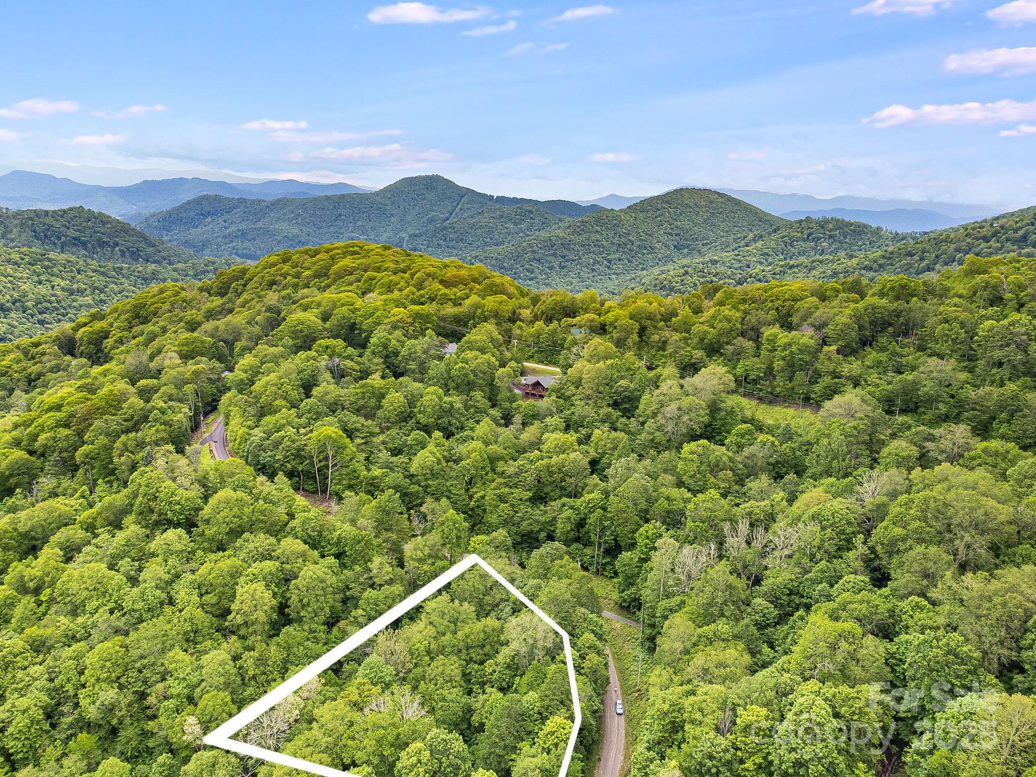 65 Bee Tree Lane Property Photo 13