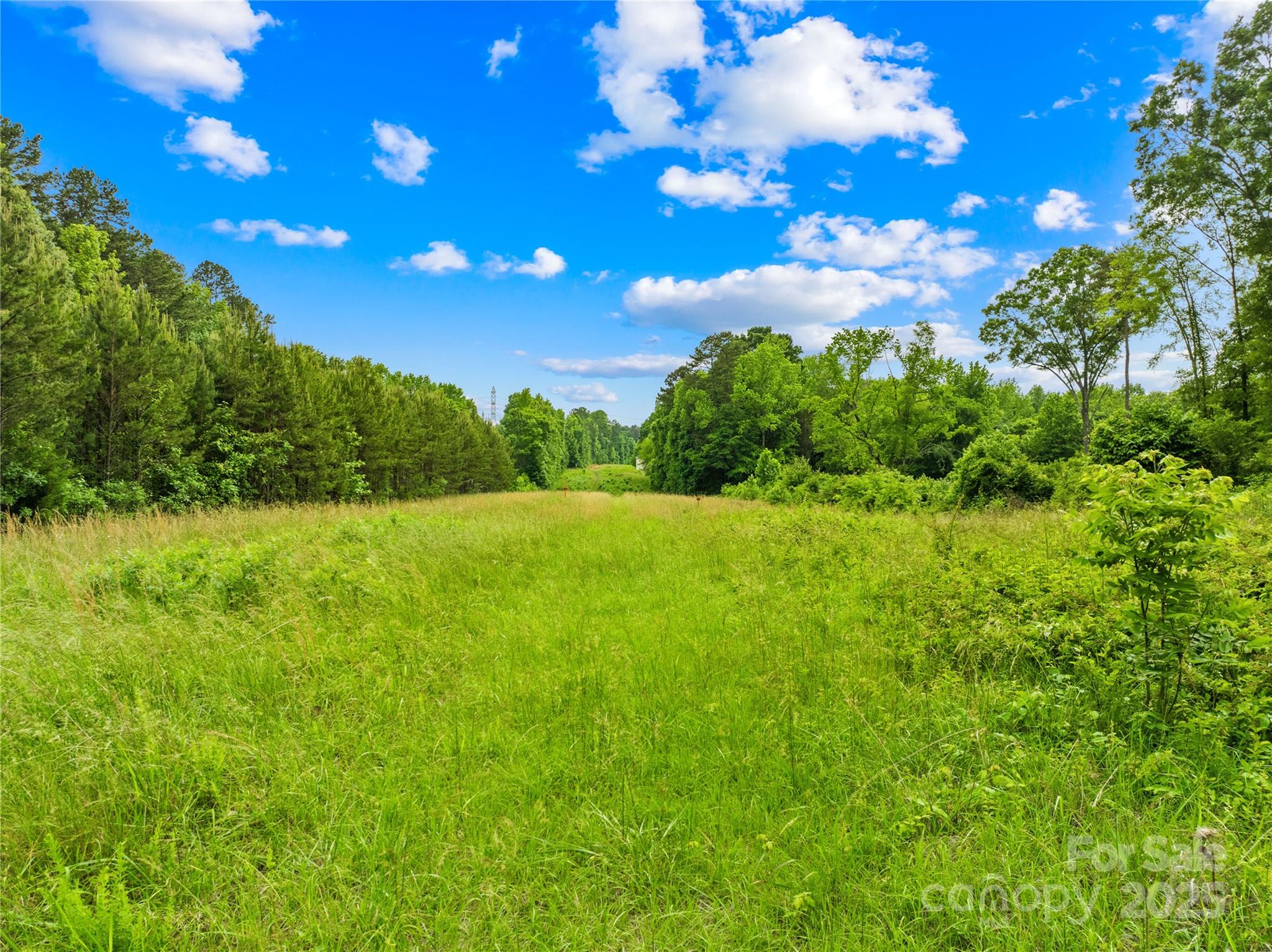 6411 Pleasant Grove Road Property Photo 14