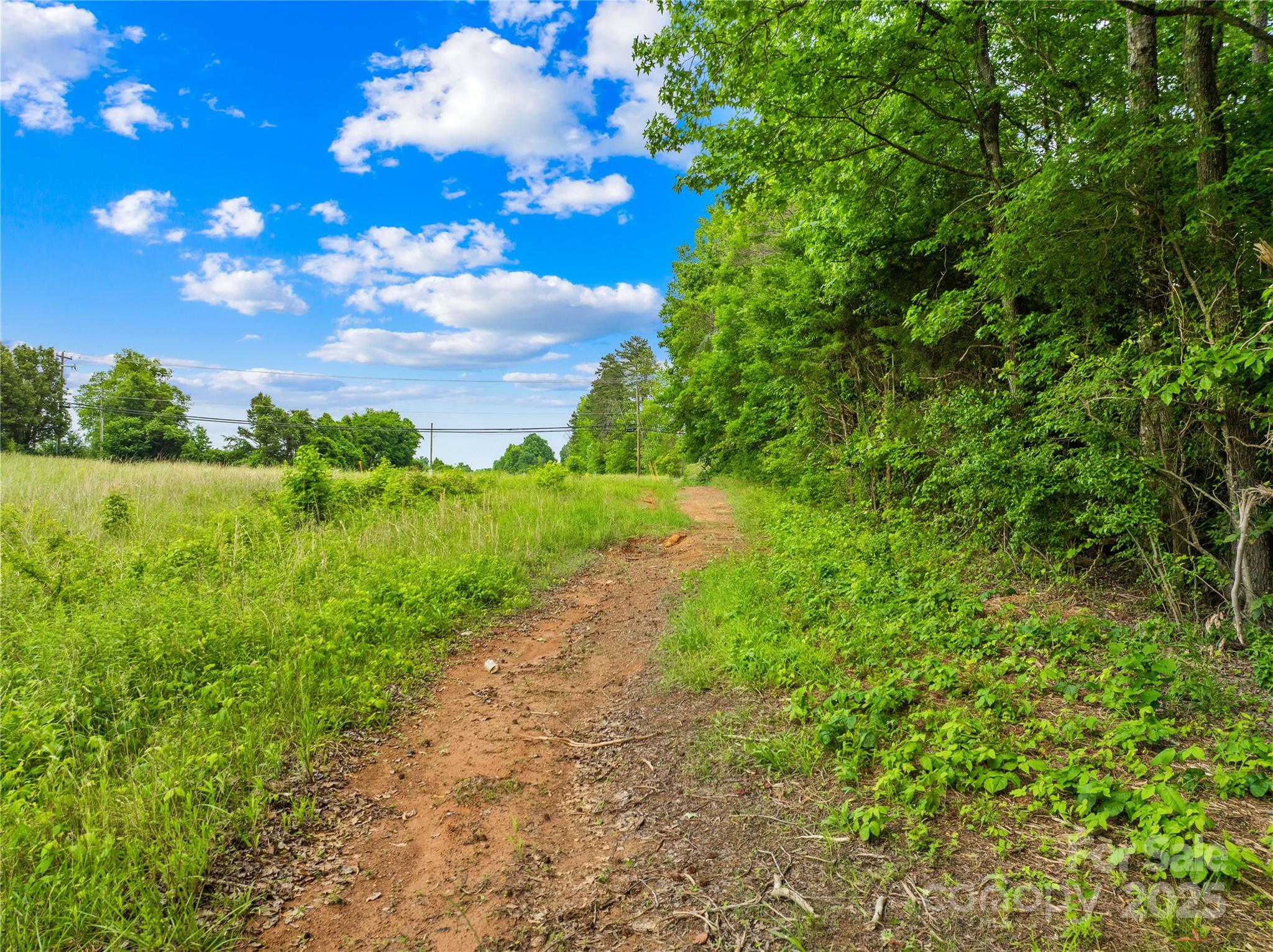 6411 Pleasant Grove Road Property Photo 16