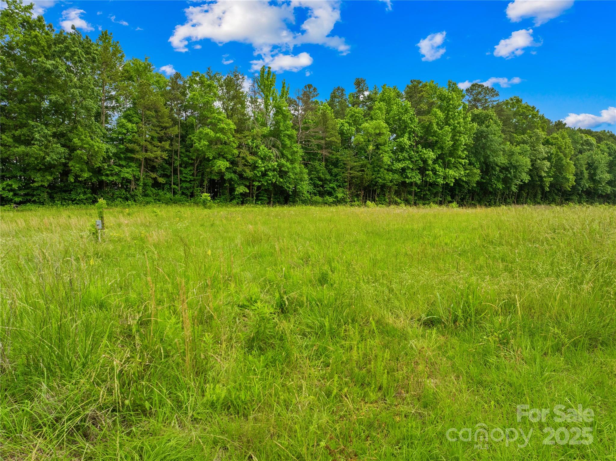 6411 Pleasant Grove Road Property Photo 18