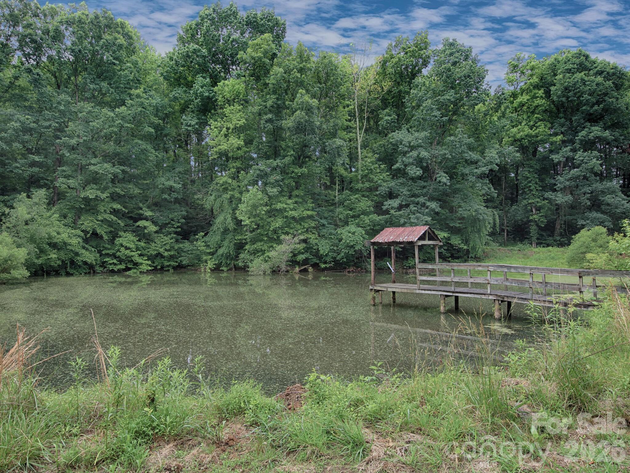 269 Johnson Dairy Road Property Photo 6
