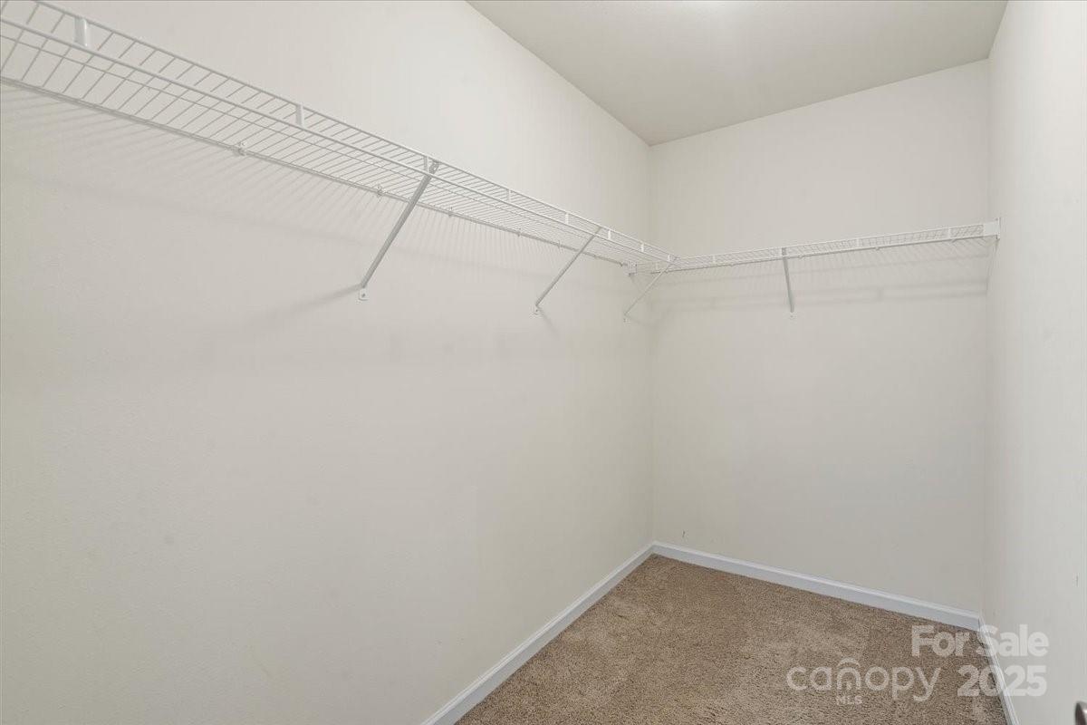 2515 Walnut Forest Drive Property Photo 25