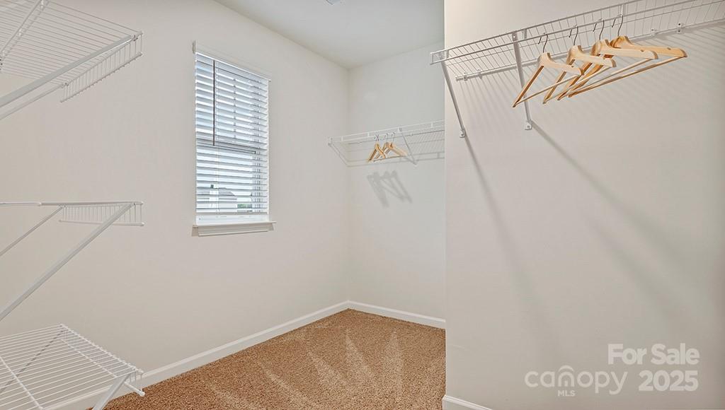 15031 Milo Lane Property Photo 17