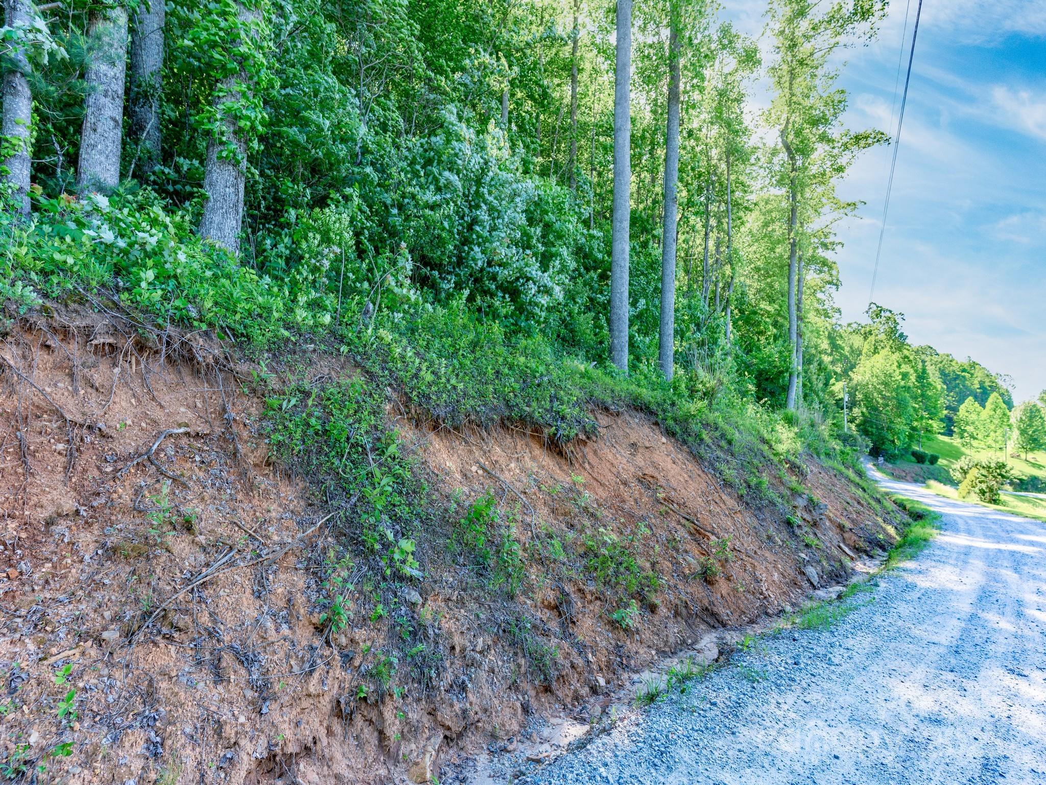 Lot #4 Mitchell View Drive Property Photo 8