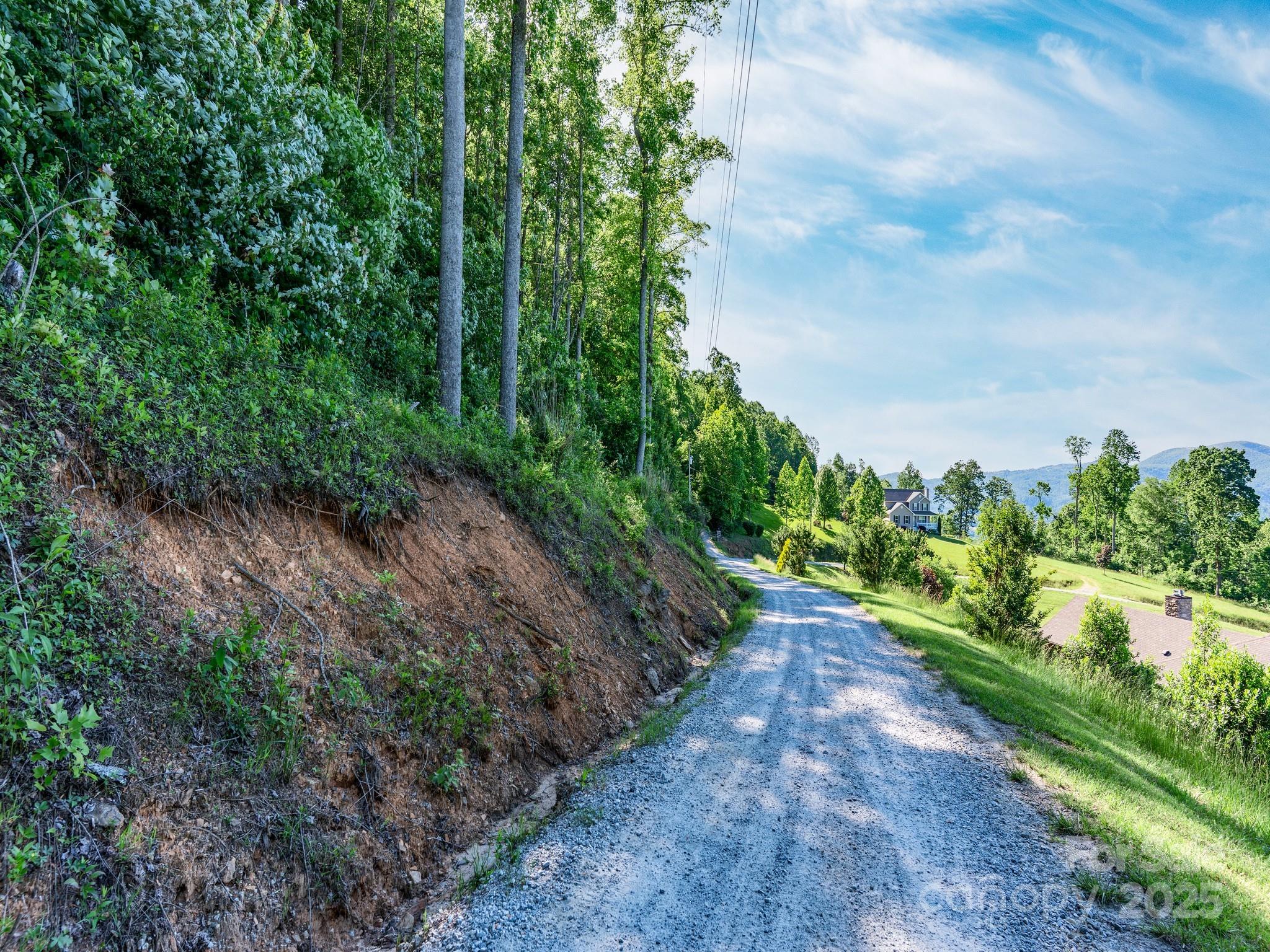 Lot #4 Mitchell View Drive Property Photo 9
