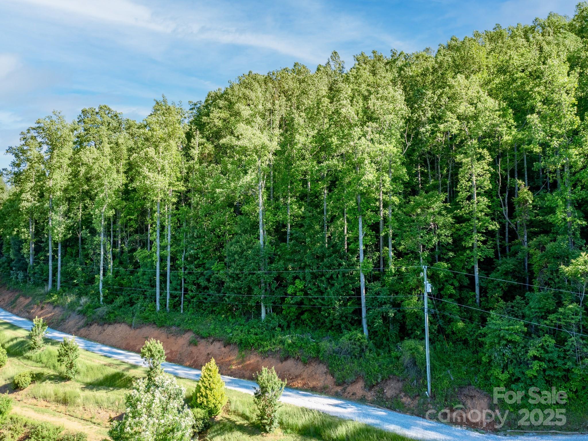 Lot #4 Mitchell View Drive Property Photo 17