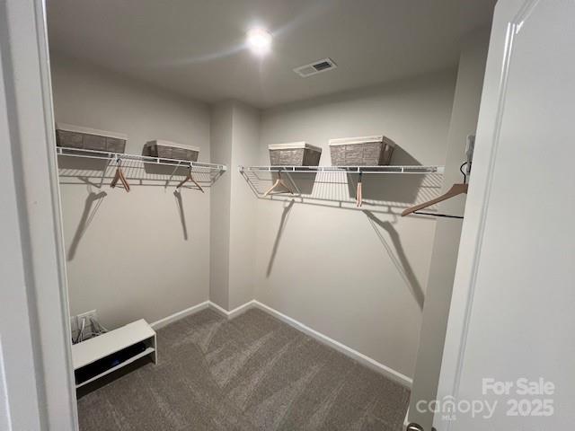 216 Laura Elizabeth Lane Property Photo 15