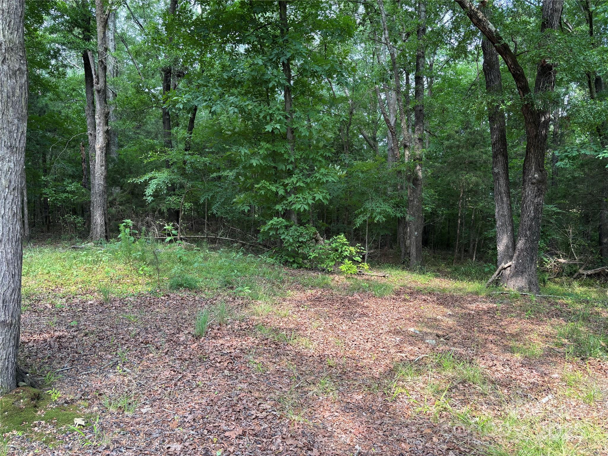 0 Wolf Pond Road Property Photo 11
