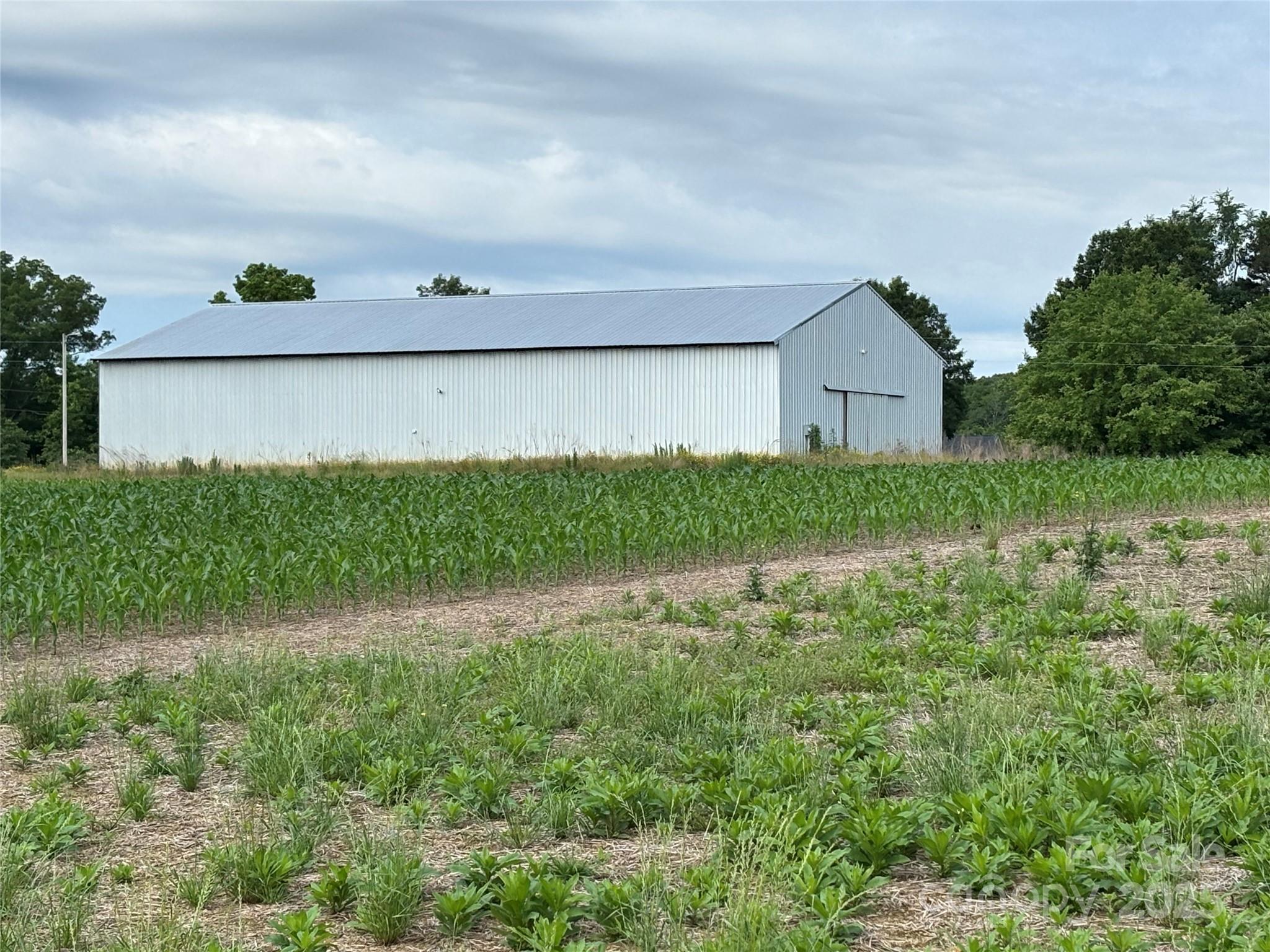 0 Wolf Pond Road Property Photo 16