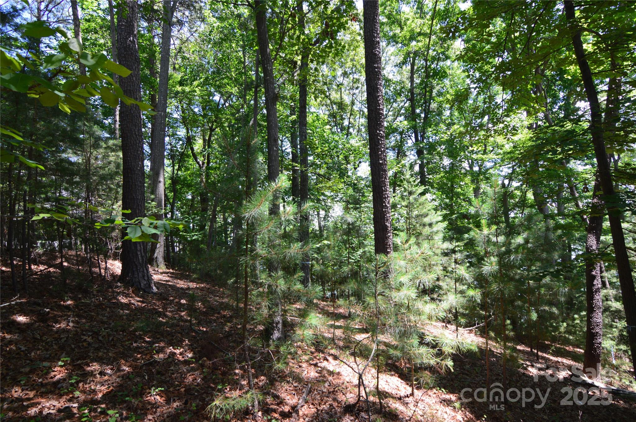 3223 Lake Pointe Drive 94 Property Photo 8