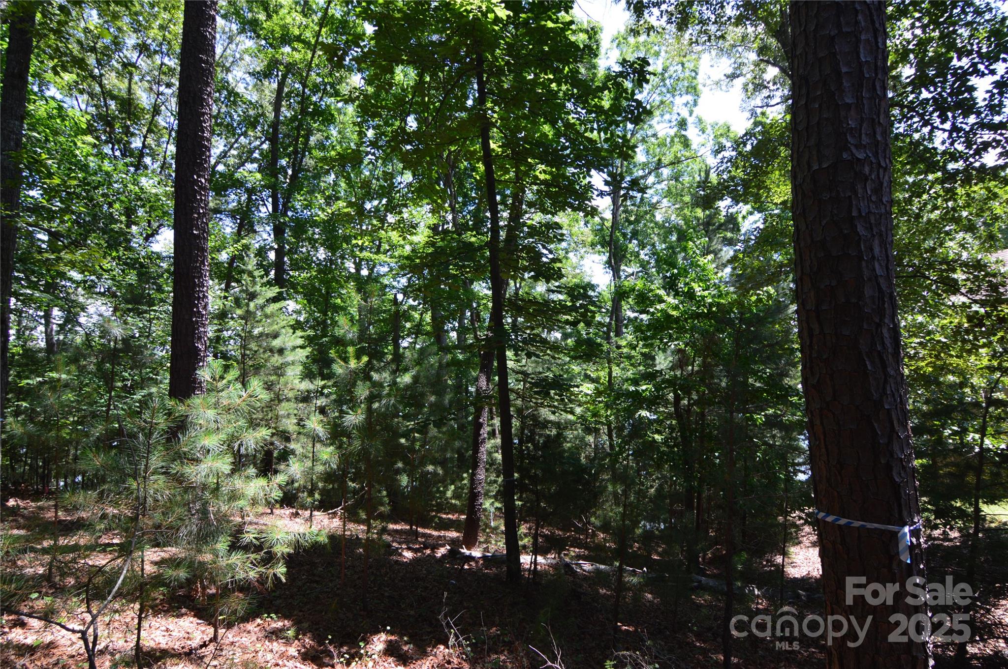 3223 Lake Pointe Drive 94 Property Photo 9
