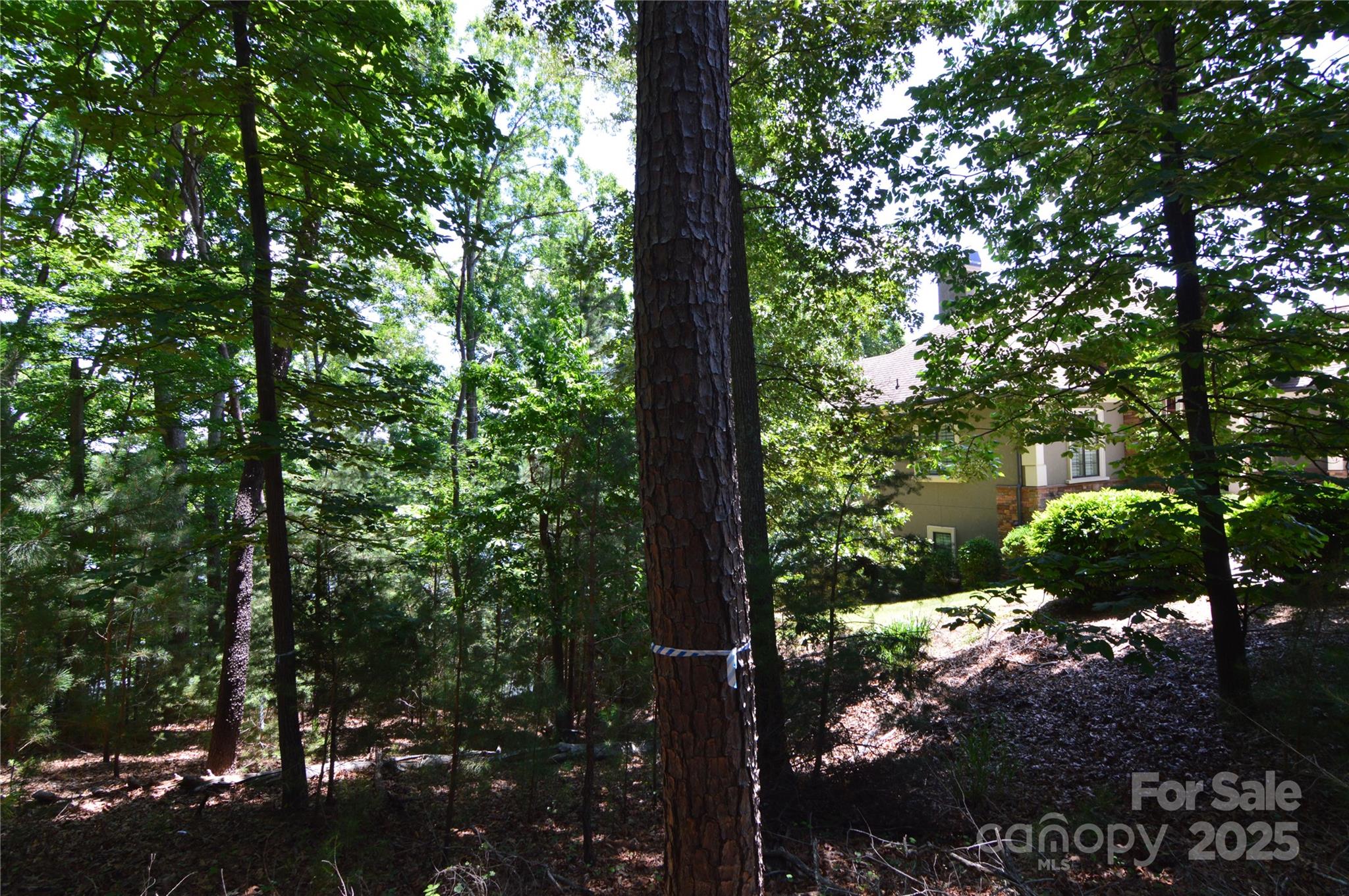 3223 Lake Pointe Drive 94 Property Photo 10