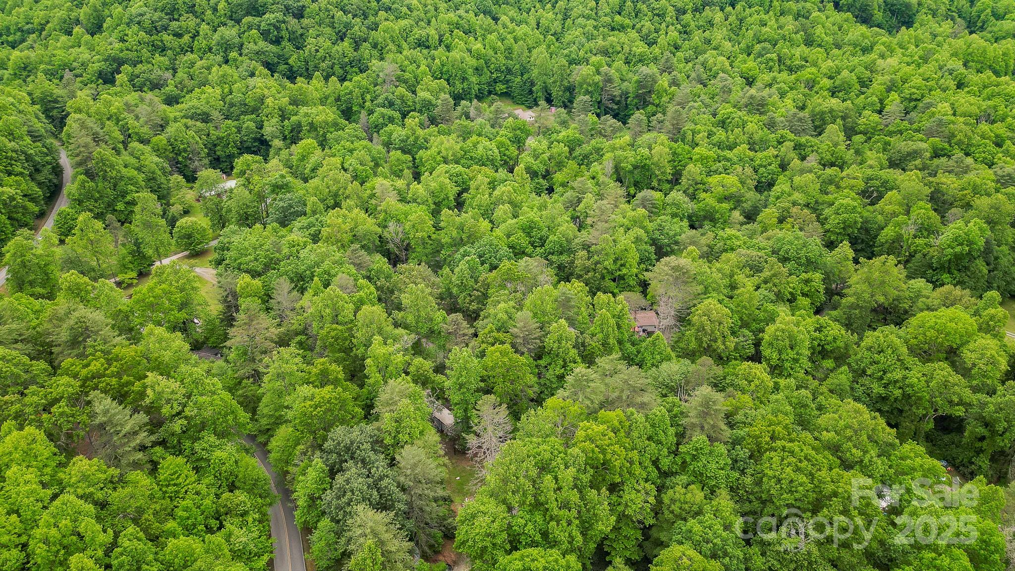 140 Old Ccc Road Property Photo 3