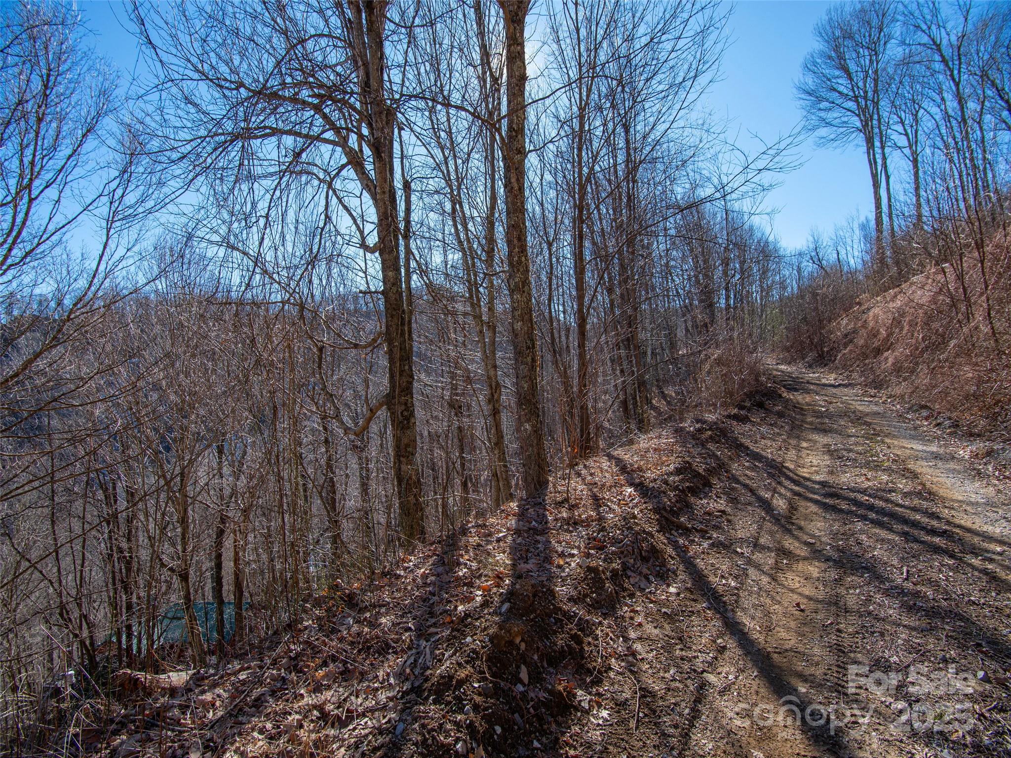 00 Long Branch Road Property Photo 3
