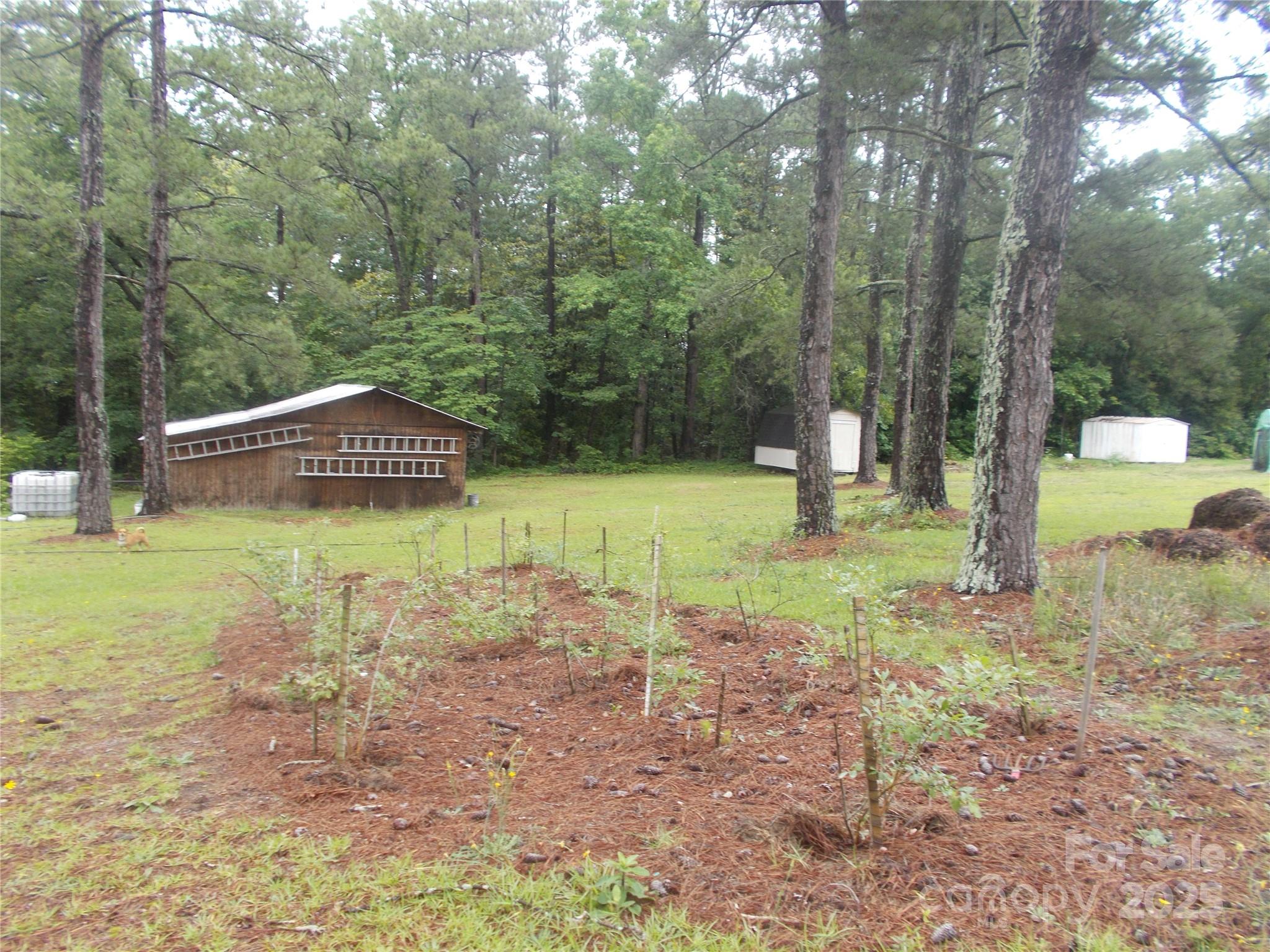 187 Cartledge Creek Road Property Photo 8
