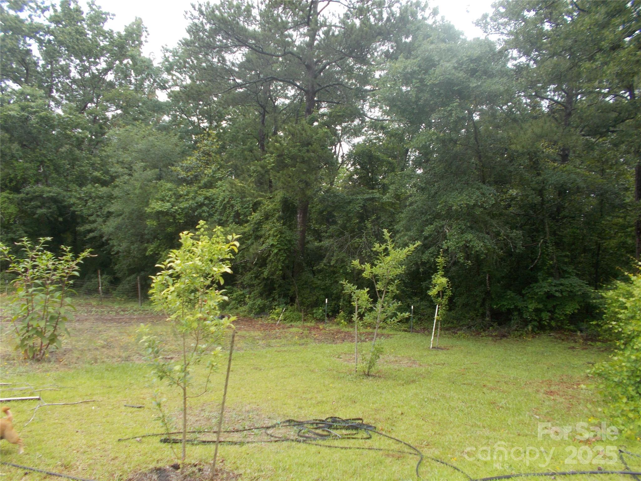 187 Cartledge Creek Road Property Photo 11