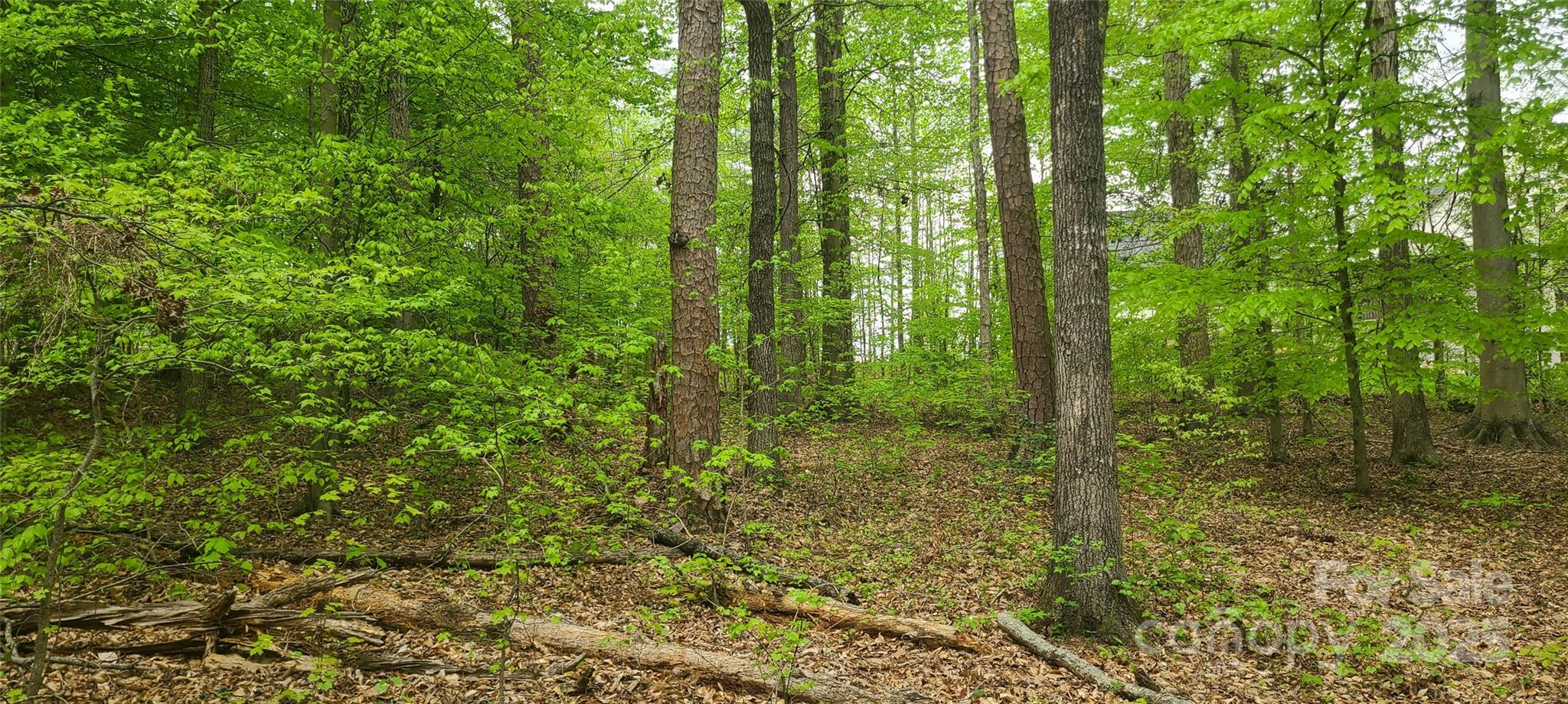 453 Sunset Pointe Drive Property Photo 3