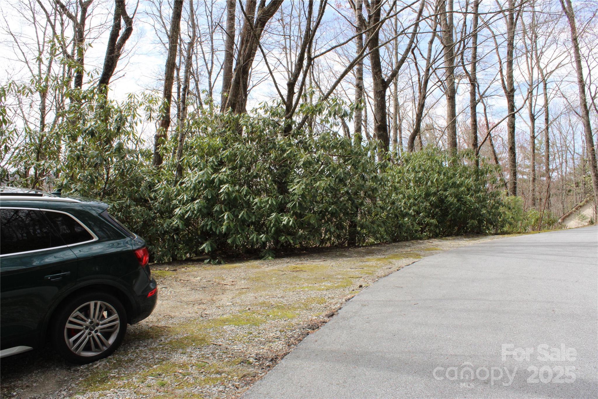 Lot 96 Black Oak Drive 96 Property Photo 2