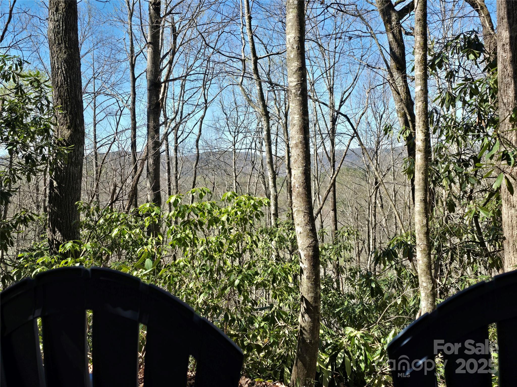 Lot 96 Black Oak Drive 96 Property Photo 4