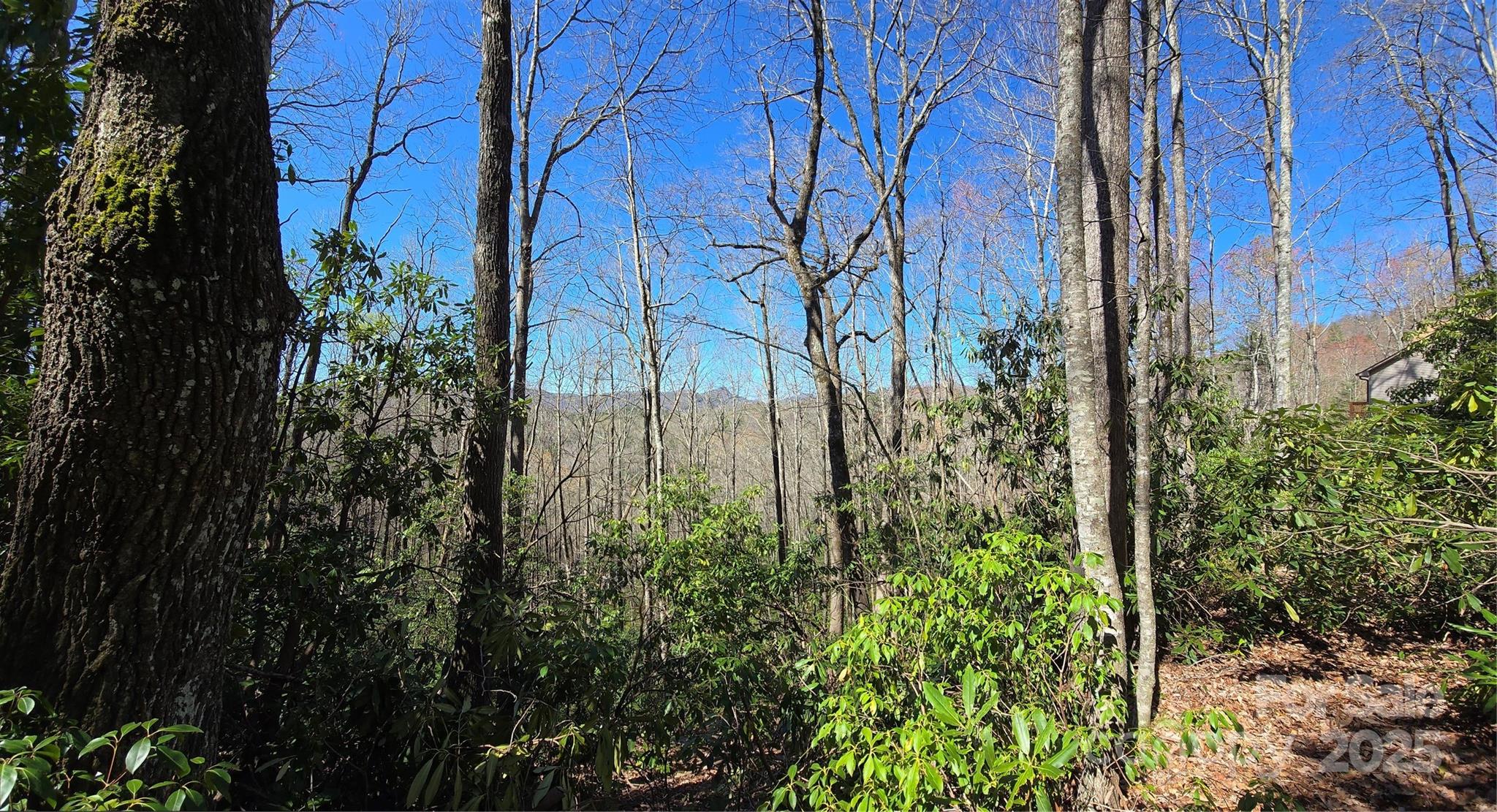 Lot 96 Black Oak Drive 96 Property Photo 5