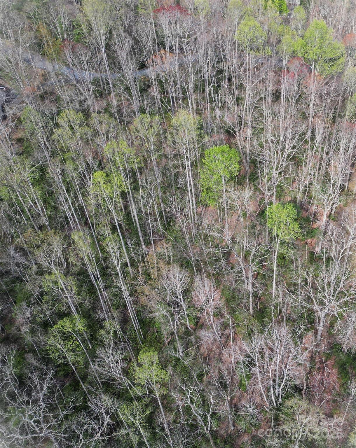 Lot 96 Black Oak Drive 96 Property Photo 6