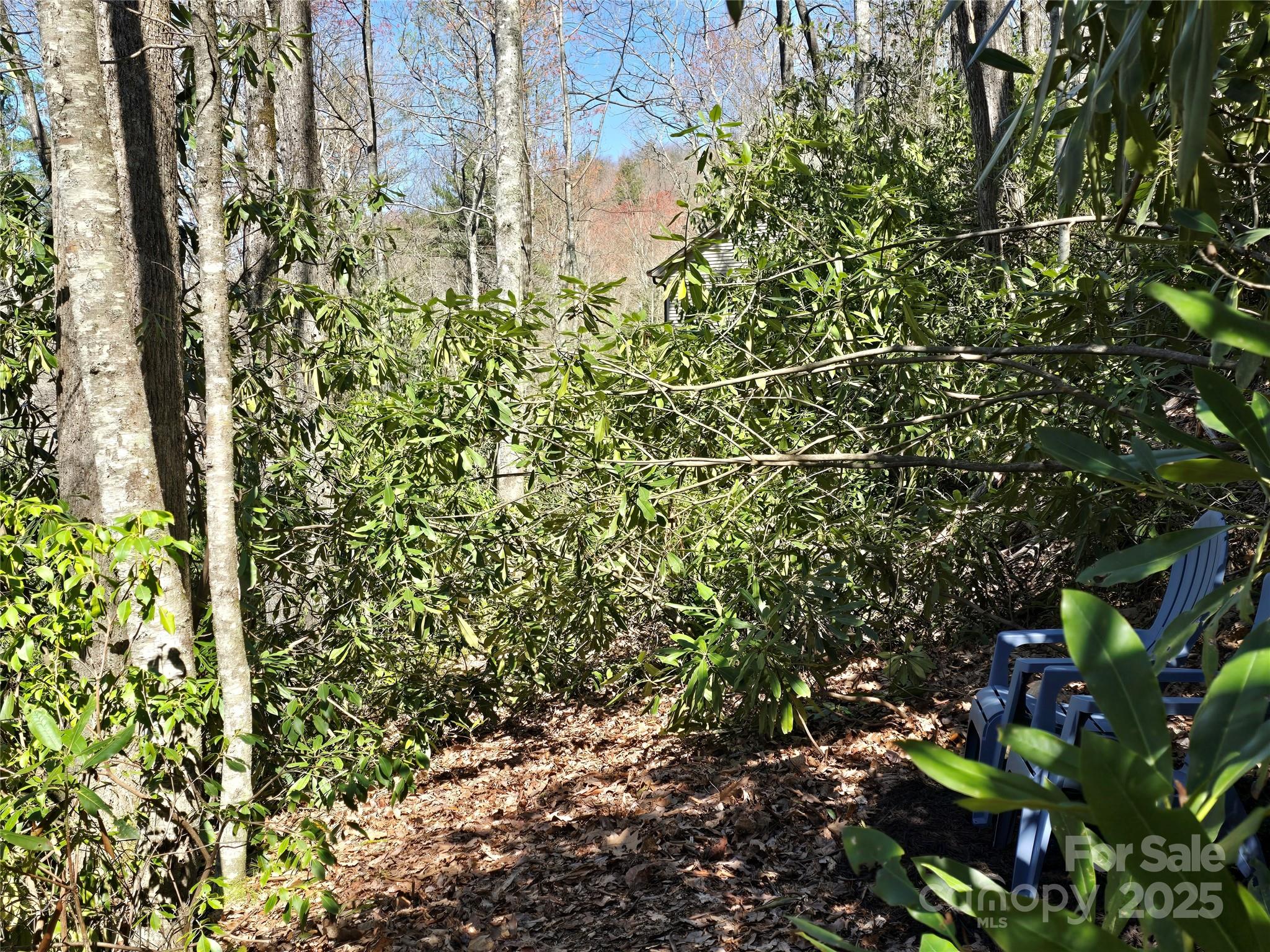 Lot 96 Black Oak Drive 96 Property Photo 7