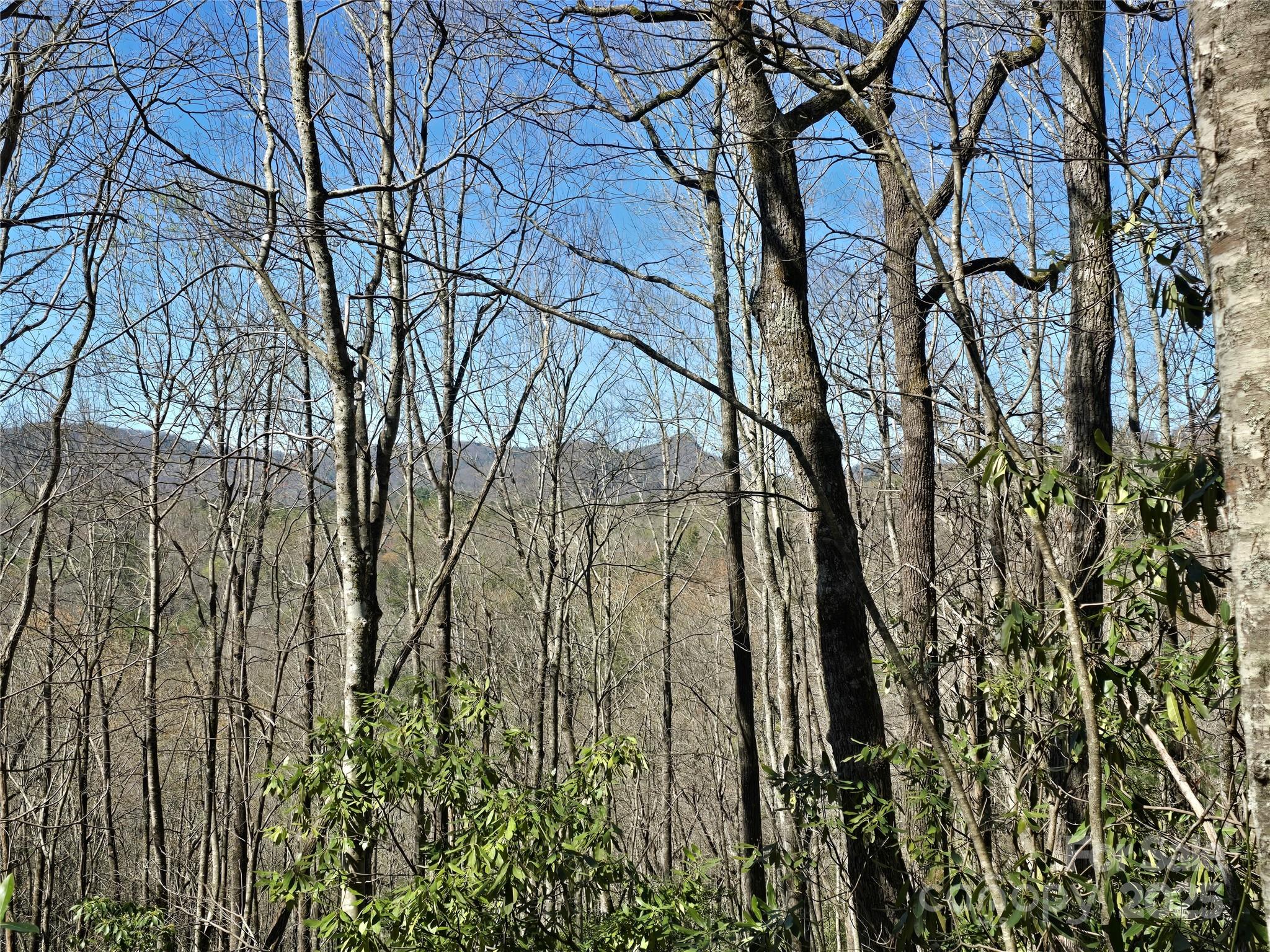 Lot 96 Black Oak Drive 96 Property Photo 8