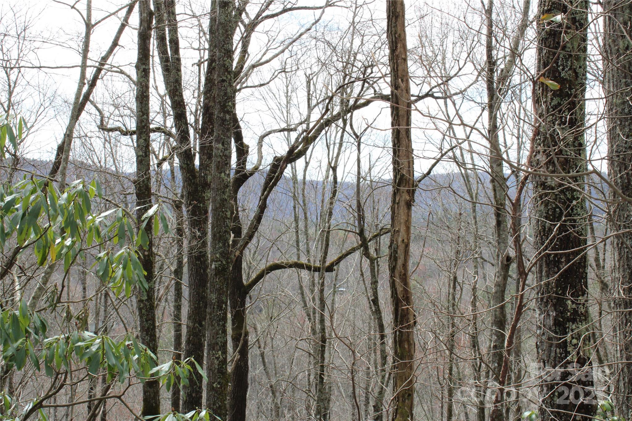 Lot 96 Black Oak Drive 96 Property Photo 9