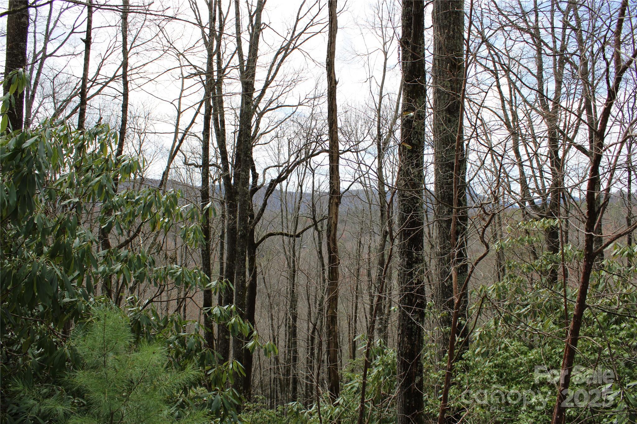 Lot 96 Black Oak Drive 96 Property Photo 10
