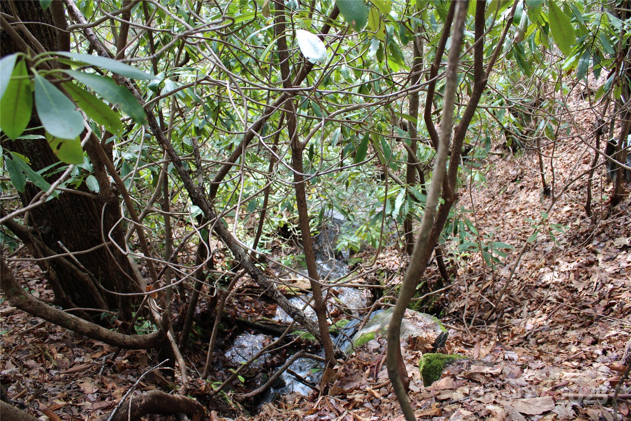 Lot 96 Black Oak Drive 96 Property Photo 11