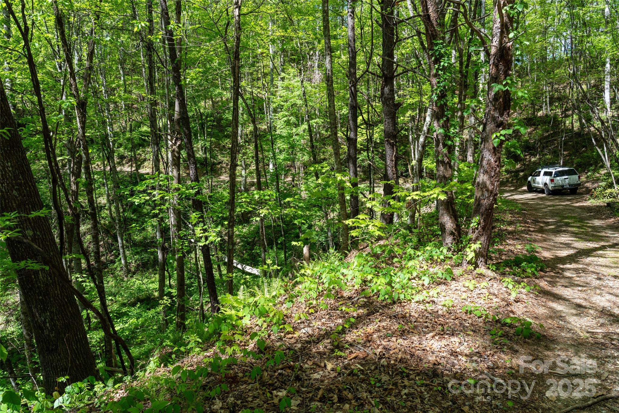 72 Lonesome Pines Road Property Photo 8