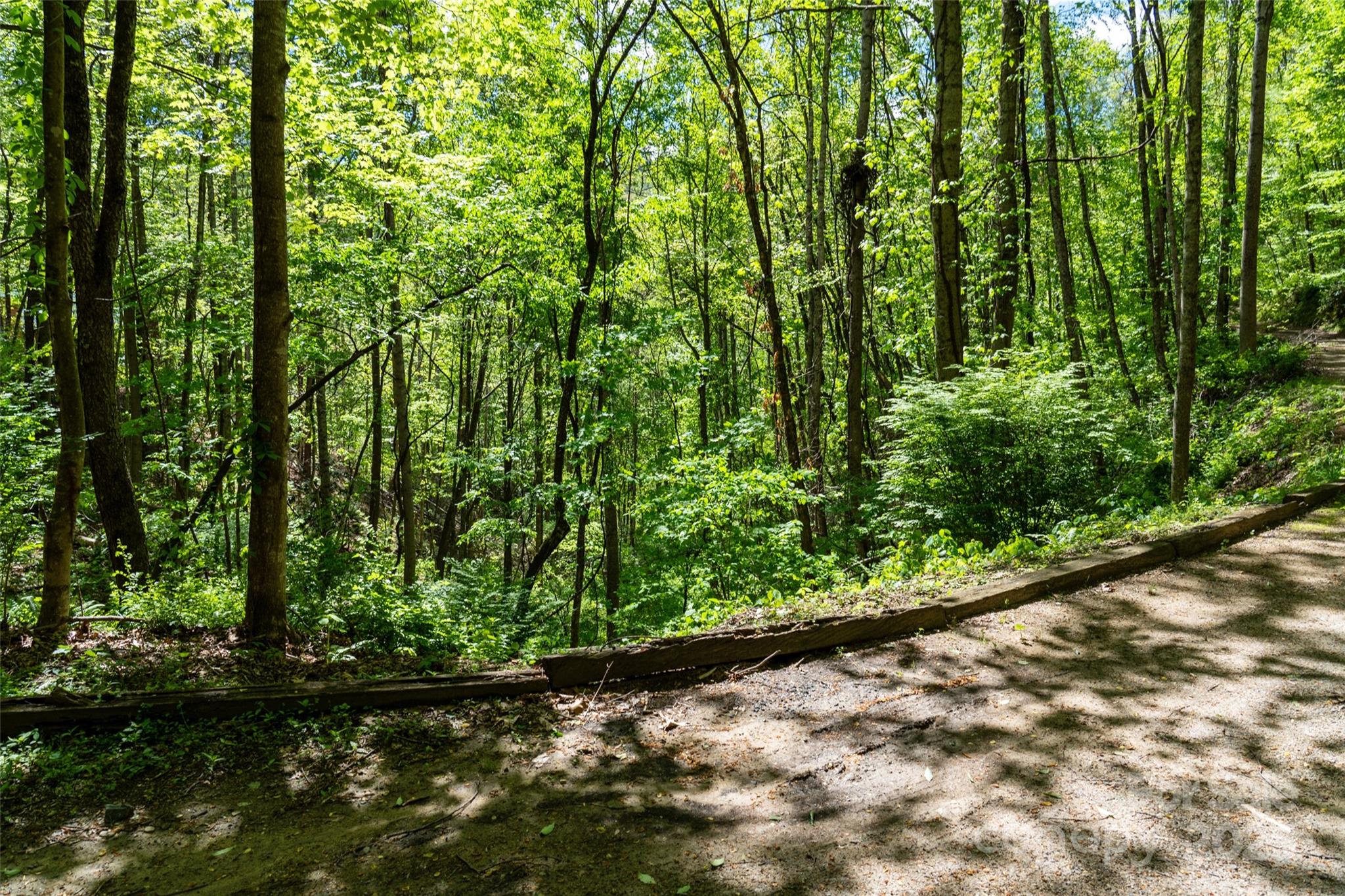 72 Lonesome Pines Road Property Photo 9