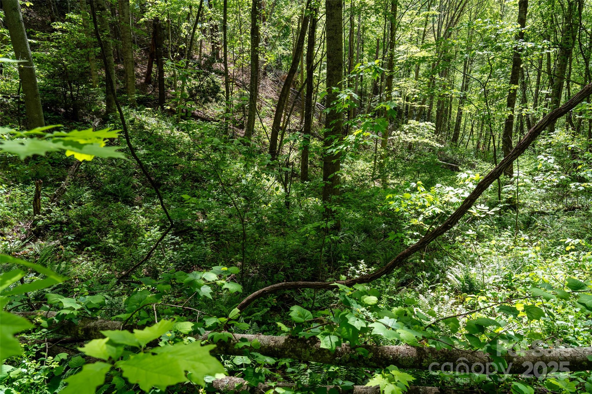 72 Lonesome Pines Road Property Photo 12