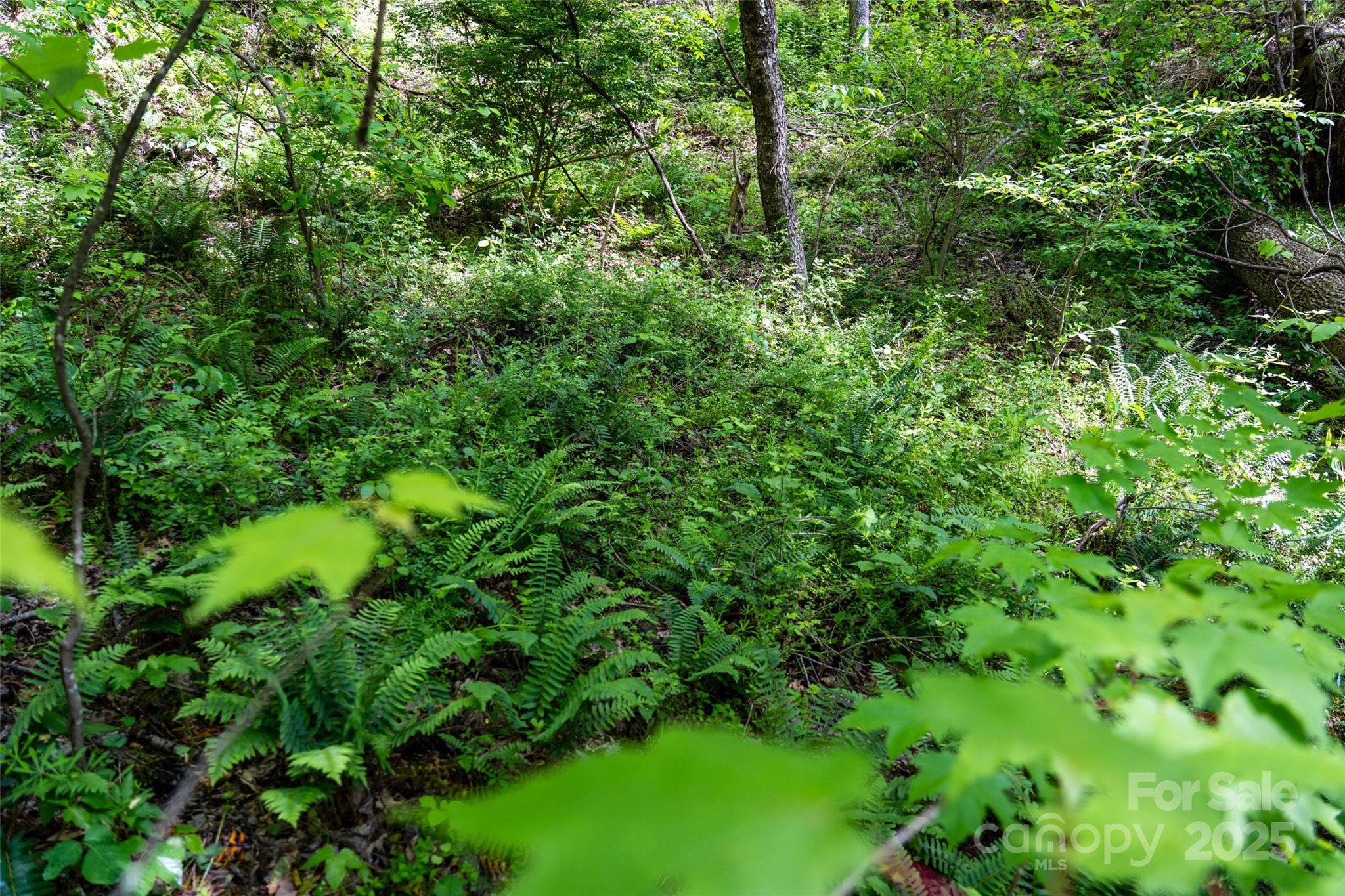 72 Lonesome Pines Road Property Photo 13