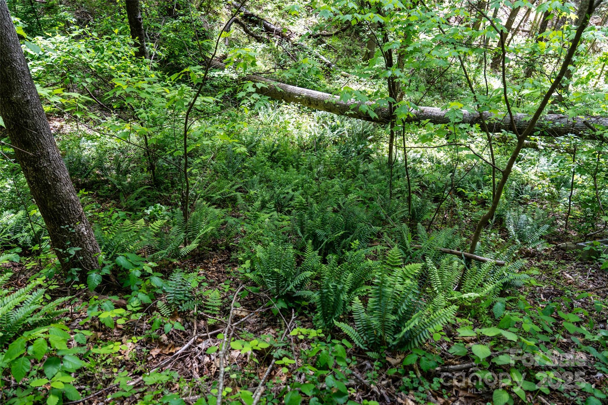 72 Lonesome Pines Road Property Photo 15