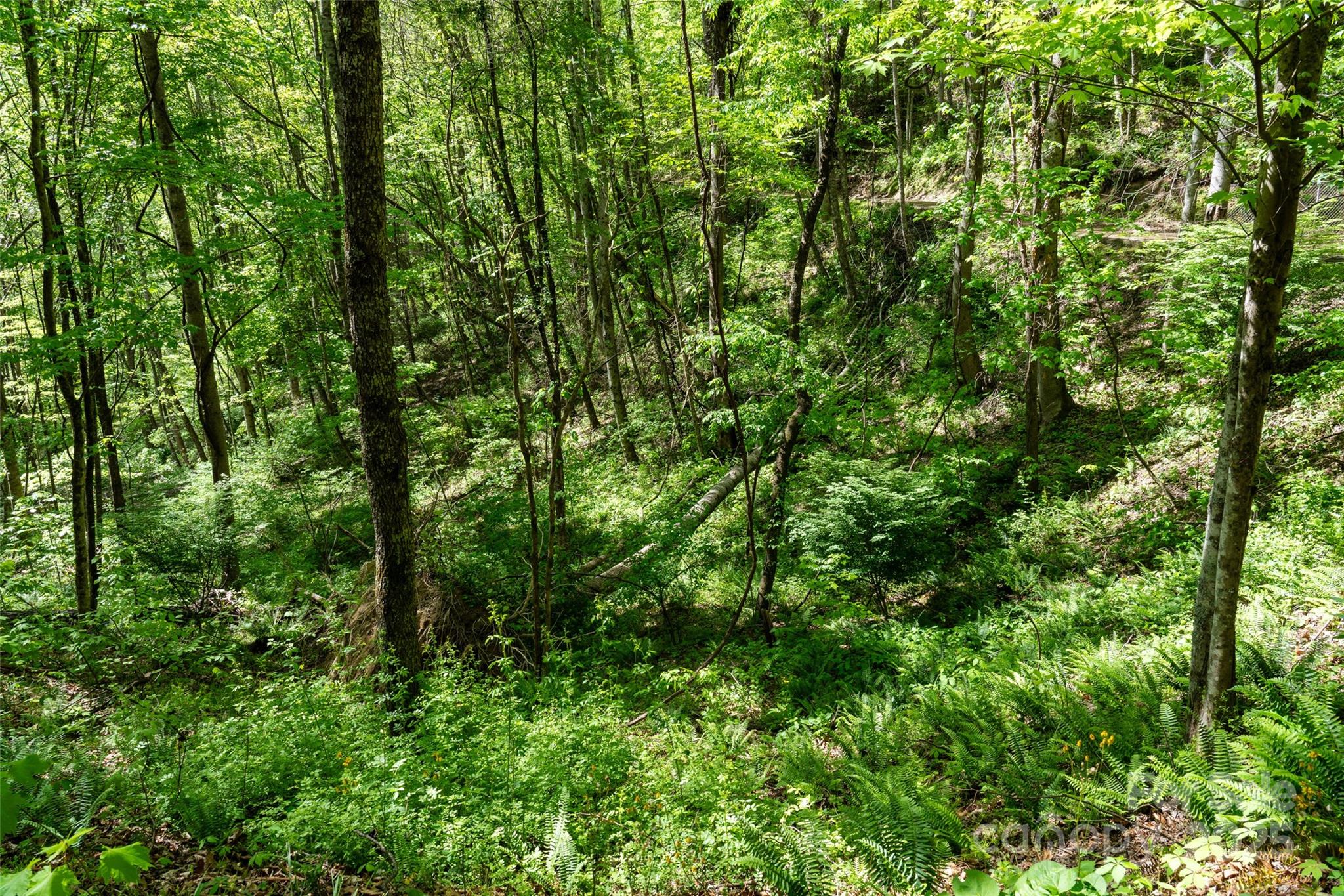 72 Lonesome Pines Road Property Photo 18
