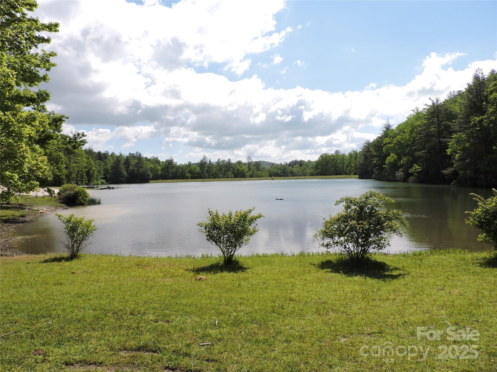 0 Swiss Pine Lake Drive Property Photo 1