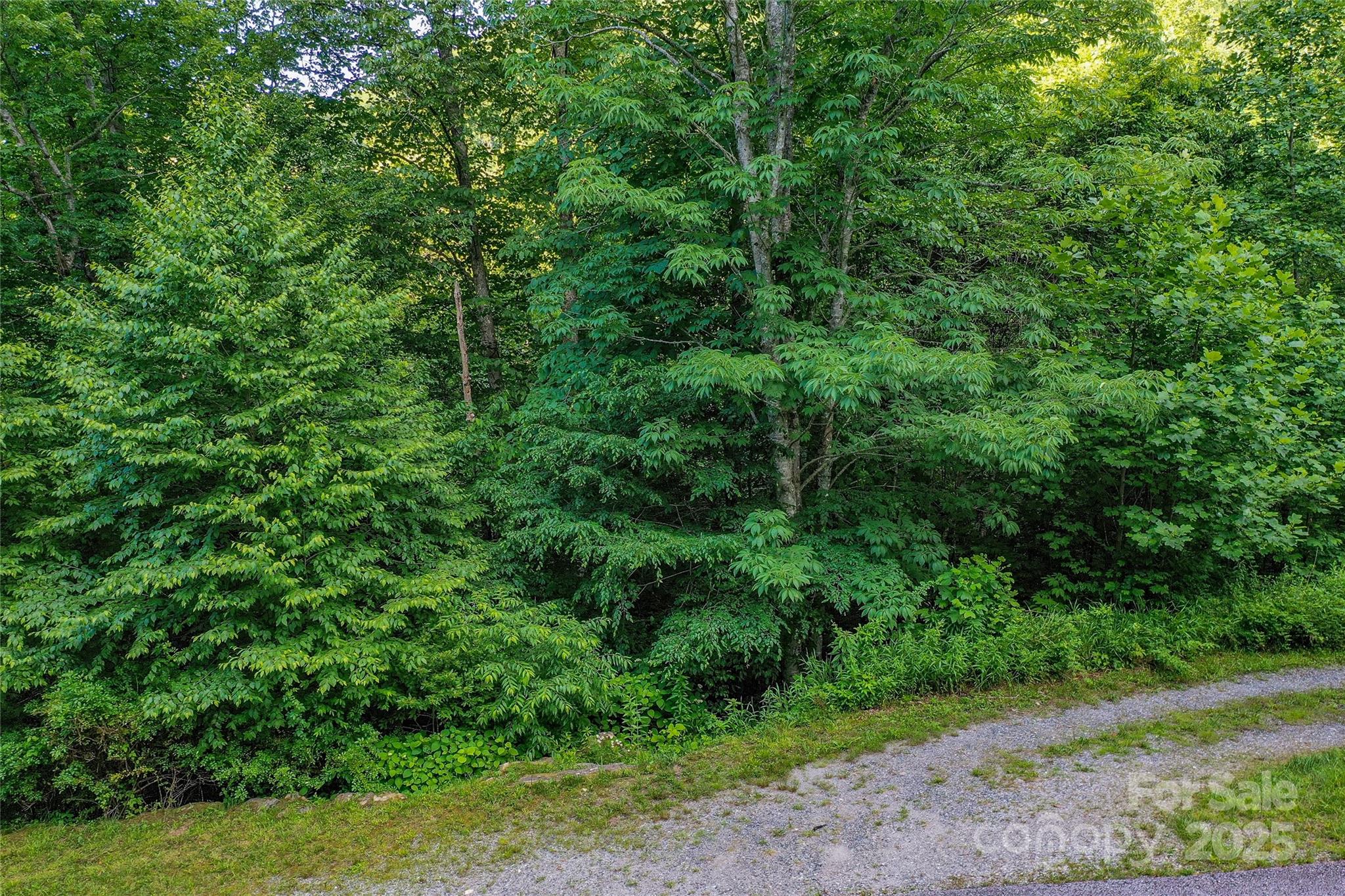 Lot 13 Hares Ear Lane 13 Property Photo 2