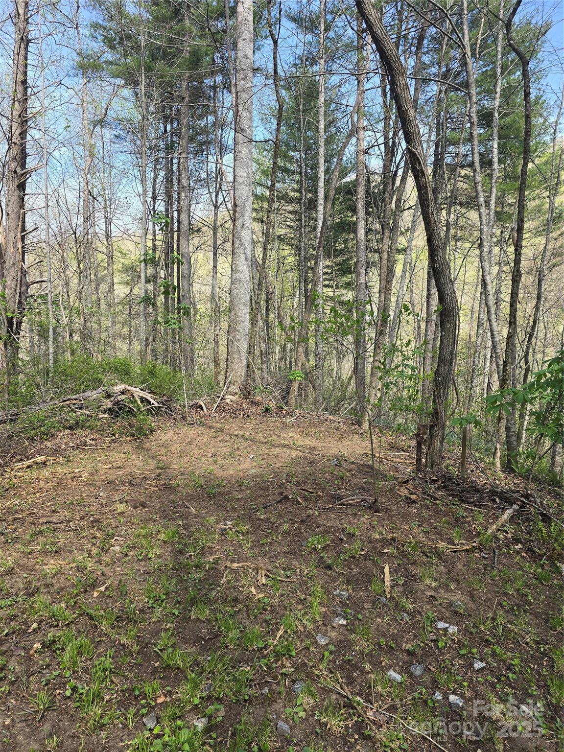 Lot 13 Hares Ear Lane 13 Property Photo 21