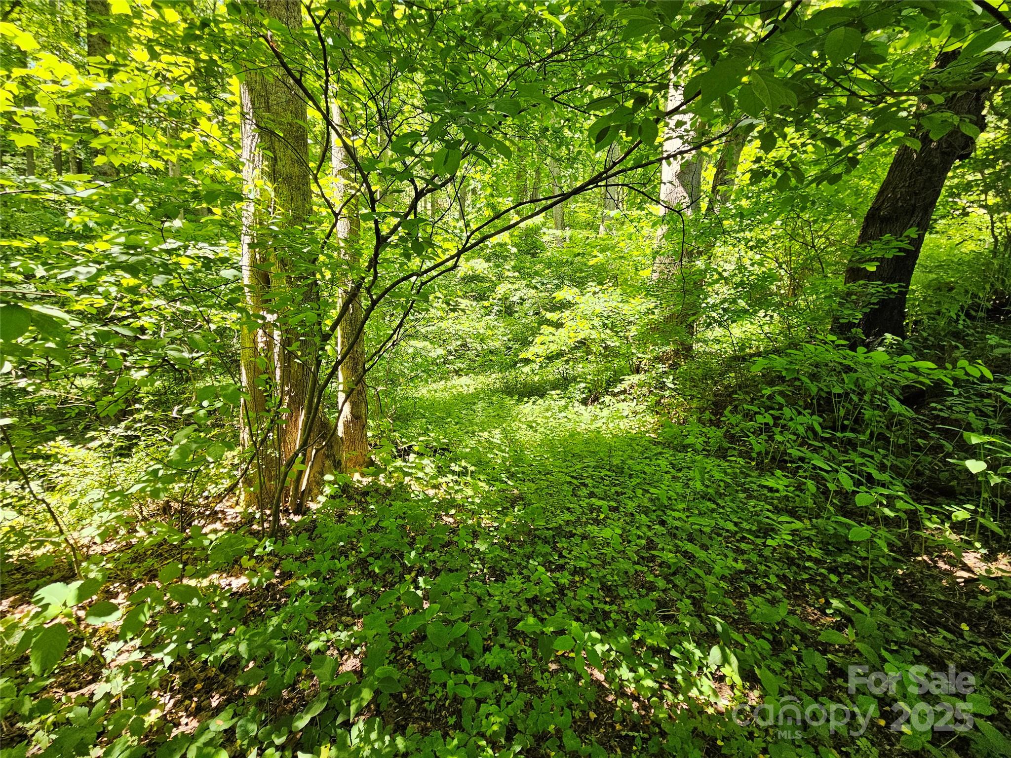 00 Owens Road Property Photo 3