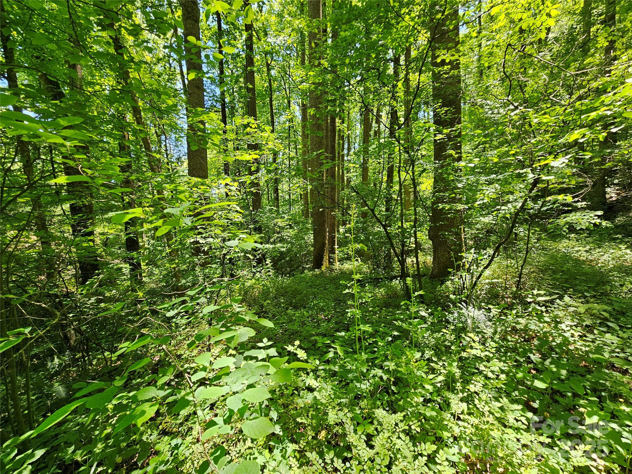 00 Owens Road Property Photo 4