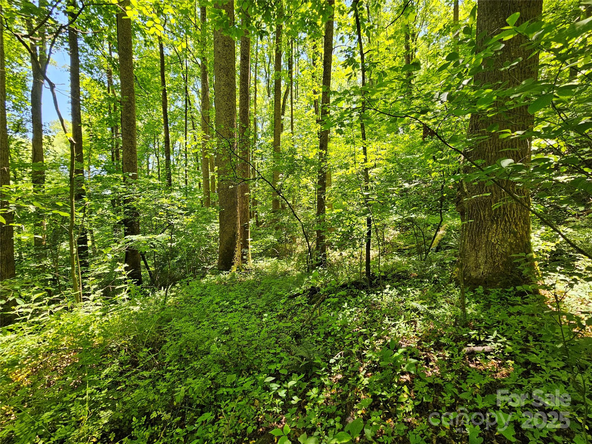 00 Owens Road Property Photo 5