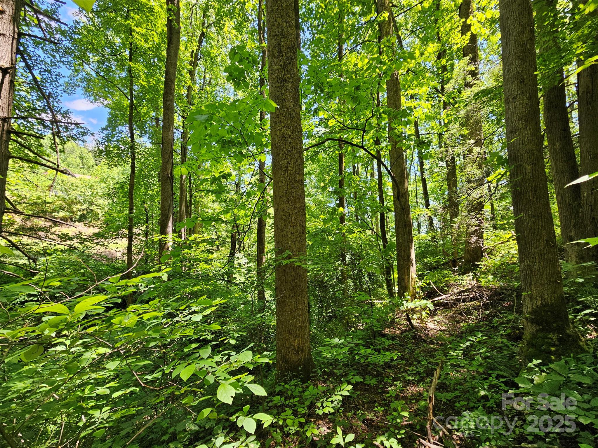 00 Owens Road Property Photo 6