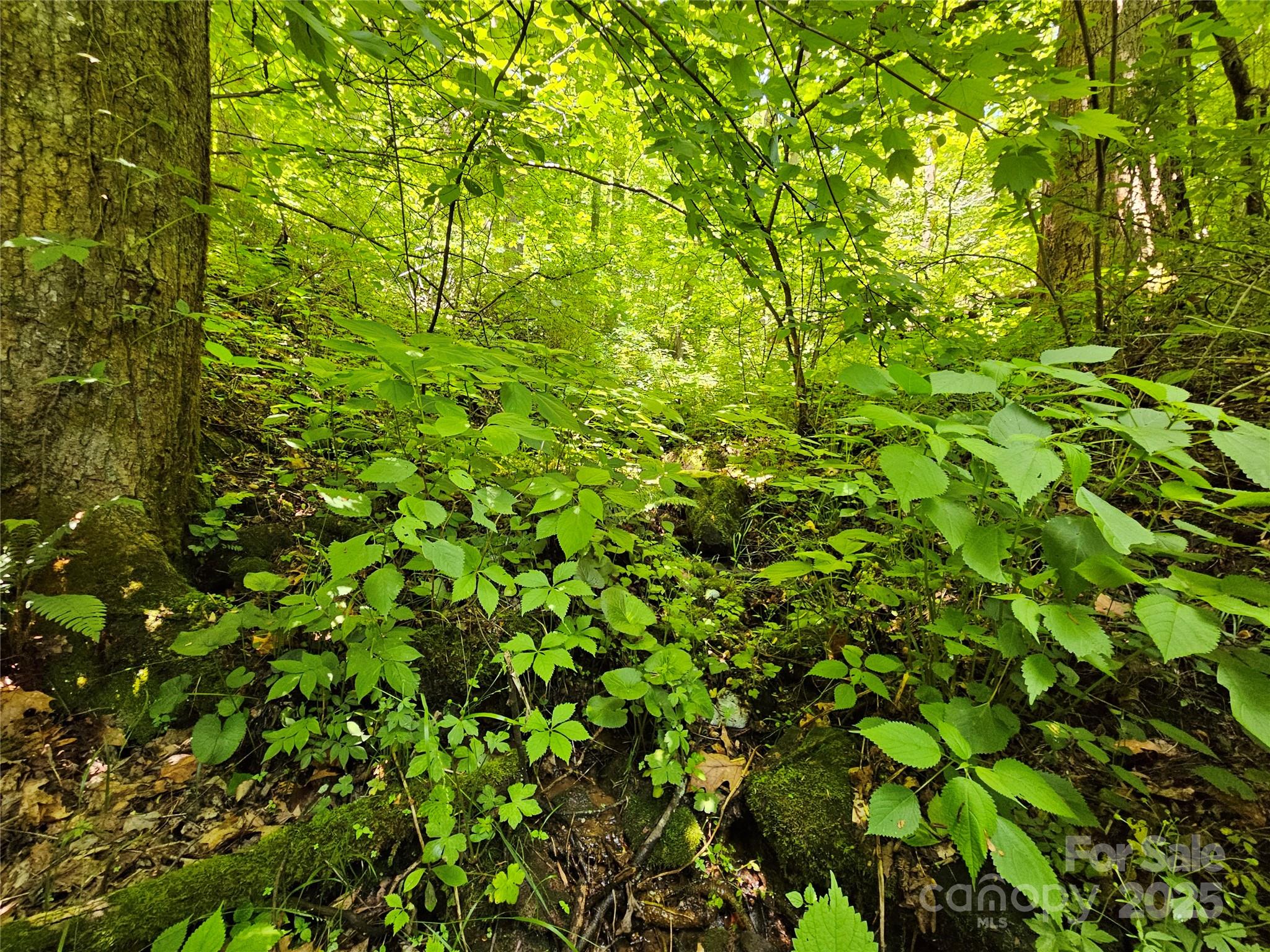 00 Owens Road Property Photo 7