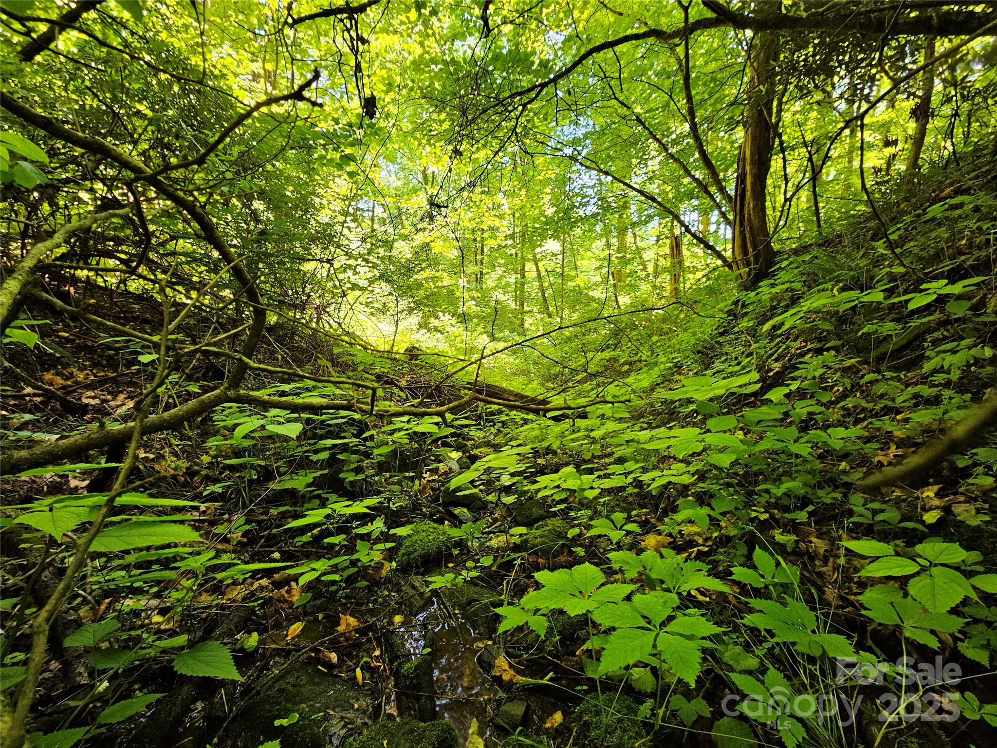 00 Owens Road Property Photo 8