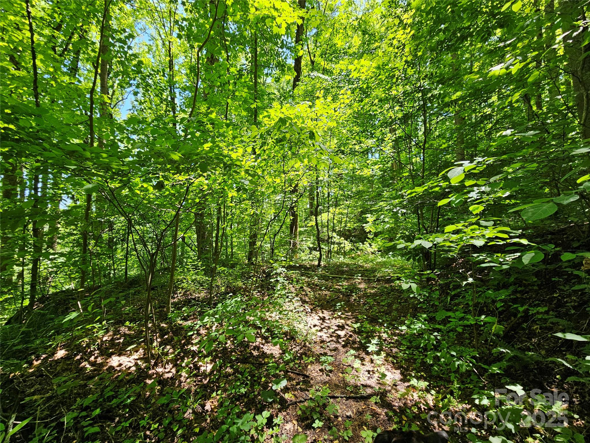 00 Owens Road Property Photo 9